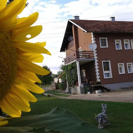 Gacka Rooms Vrhovine Eksteriør billede